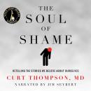 Soul Of Shame: Retelling the Stories We Believe About Ourselves, Curt Thompson