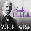 The Souls of Black Folk Audiobook