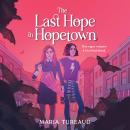 The Last Hope in Hopetown Audiobook