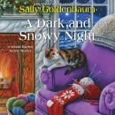 A Dark and Snowy Night Audiobook