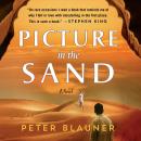 Cover of Picture in the Sand