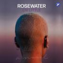 Rosewater: A Novel Audiobook