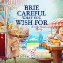 Brie Careful What You Wish For Audiobook
