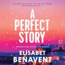 A Perfect Story Audiobook