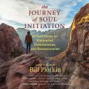 The Journey of Soul Initiation: A Field Guide for Visionaries, Evolutionaries, and Revolutionaries Audiobook