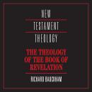 The Theology of the Book of Revelation Audiobook