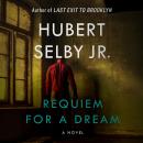 Requiem for a Dream Audiobook
