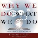 Why We Do What We Do: Understanding Self-Motivation Audiobook