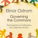 Governing the Commons: The Evolution of Institutions for Collective Action (Canto Classics) Audiobook