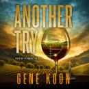 Another Try Audiobook