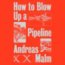 How to Blow Up a Pipeline: Learning to Fight in a World on Fire Audiobook