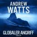 [German] - Globaler Angriff Audiobook