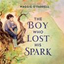 Cover of The Boy Who Lost His Spark