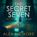 The Secret Seven Audiobook