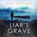 A Liar's Grave Audiobook