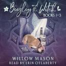 Beezley and the Witch - Books 1-3 Audiobook