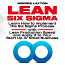 Lean Six Sigma: Learn How to Implement the Six Sigma Process with Lean Production Speed and Apply It Audiobook