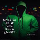 What to do if you see a ghost? Audiobook