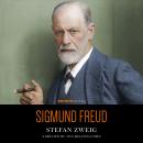 Sigmund Freud: Life and Work Audiobook