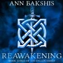 Reawakening Audiobook