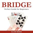 BRIDGE: Perfect Guide for Beginners Audiobook