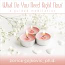 What Do You Need Right Now?: A Guided Meditation Audiobook