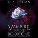 Vampire Bound: Book One Audiobook