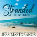 Stranded at the Sandbar: A Sweet, Castaway, Military Romance Audiobook
