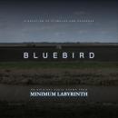 Bluebird, Robert Kingham, Rich Cochrane