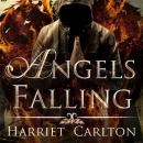Angels Falling Audiobook