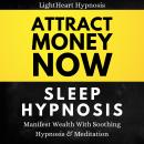 Attract Money Now Sleep Hypnosis: Manifest Wealth With Soothing Hypnosis & Meditation Audiobook