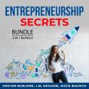 Entrepreneurship Secrets Bundle, 3 in 1 Bundle: Business Ideas, Entrepreneur Drive and Mindset,  Top Audiobook