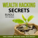 Wealth Hacking Secrets Bundle, 3 in 1 Bundle: Build Your Wealth, Smart Finances to Survive Recession Audiobook