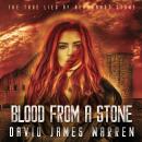 Blood from a Stone: A time-travel thriller Audiobook
