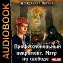 Профессиональный некромант. Книга 3. Мэтр на свободе Audiobook