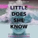 Little Does She Know: If Only She Knew Book 1