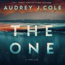 The One Audiobook