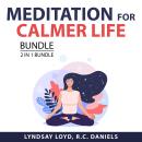 Meditation For Calmer Life Bundle, 2 in 1 Bundle: Practicing Meditation and Meditation For Mindfulne Audiobook