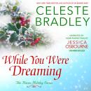 While You Were Dreaming: (Haven Holiday #2) Audiobook