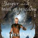 Jasper and the Well of Wizdom Audiobook