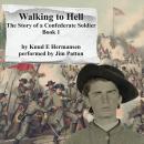 Walking to Hell: The Story of a Confederate Soldier Audiobook