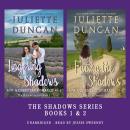 Lingering Shadows & Facing the Shadows: A Christian Romance Audiobook