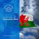 Intermediate Welsh Audiobook