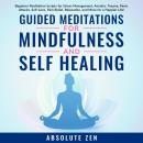 Guided Meditations for Mindfulness and Self Healing: Beginner Meditation Scripts for Stress Manageme Audiobook