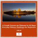 A Crash Course on Chinese in 35 Days: Everyday Chinese Challenge for Beginners Audiobook