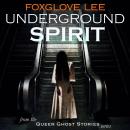 Underground Spirit: From the Queer Ghost Stories Series Audiobook