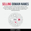Selling Domain Names: The Best Guide on How to Earn Money With Domain Flipping. Learn the Best Strat Audiobook