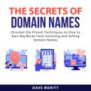 The Secrets of Domain Names: Discover the Proven Techniques on How to Earn Big Bucks From Investing  Audiobook