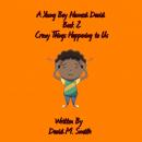 A Young Boy Named David Book 2 Audiobook