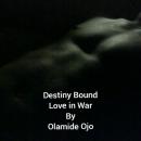 Destiny Bound Audiobook